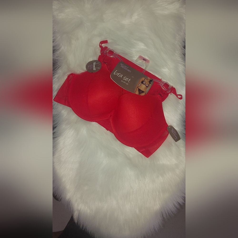 Secret Treasures Red Push-Up Bra Set